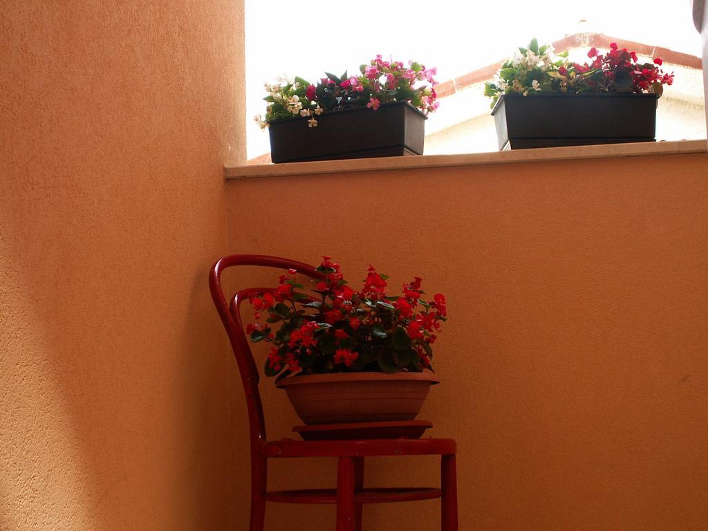 Apartment Bartol Pula